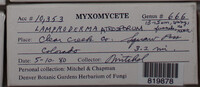Image Associated With the Occurence